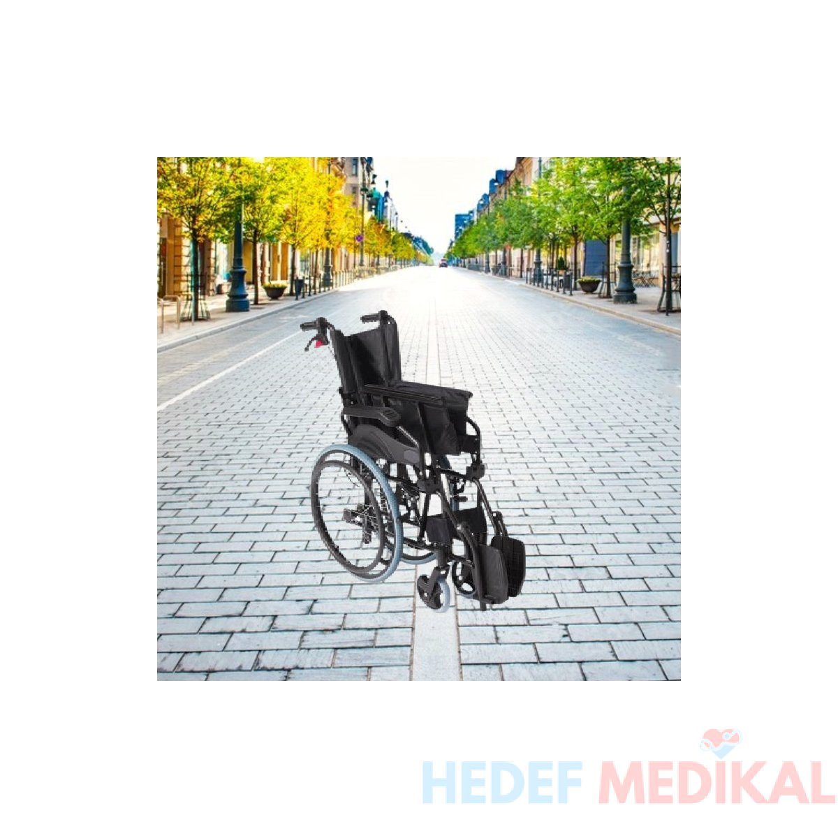 Leo 166 Tekerlekli Sandelye - Görsel 1